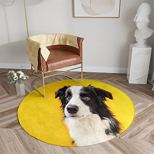 Chickwin Wohnzimmer Teppich Rund, Hund Muster Rutschfester Teppich Moderne Flanell Flauschig Weich Groß Teppiche Fußmatte für Schlafzimmer Küche (Border Collie 2,Durchmesser 120cm) von Chickwin
