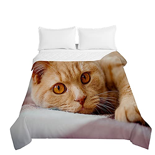Chickw1 Tagesdecken Bettüberwurf, 3D Süße Katze Drucken Sommer Tagesdecke mit Prägemuster Wohndecke aus Mikrofaser Bettdecke für Einzelbett Doppelbett oder Kinder (Gelbe Katze,150x200cm) von Chickwing