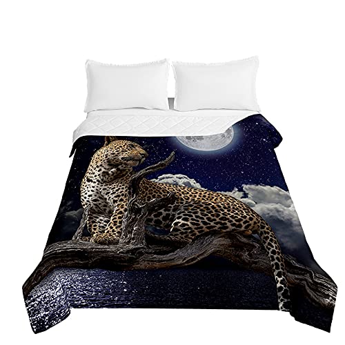 Chickwin Bettüberwurf Tagesdecke, 3D Tiger Drucken Tagesdecken Herbst Sommer Bettüberwürfe Prägemuster Wohndecke Mikrofaser Bettdecke für Einzelbett Doppelbett (Sternenhimmel,150x200cm) von Chickwing