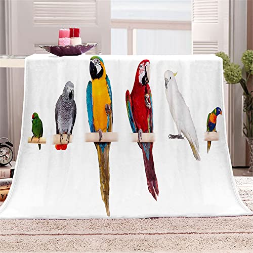 Chickwin Flanelldecke Kuscheldecke, Super Soft Weiche Vogel-Druck Wohndecke Warm Flauschige Decke TV-Decke Mikrofaserdecke Sofadecke oder Bettüberwurf Tagesdecke (160x200cm,Papagei) von Chickwing