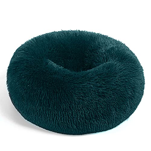 Chickwin Rund Hundebett für Hunde und Katzen, Warm Weich Katzenbett Donut Plüsches Bett, Waschbar rutschfest Base Haustierbett für Kleine, Mittelgroße und Große Hunde (Cyan,70CM) von Chickwing