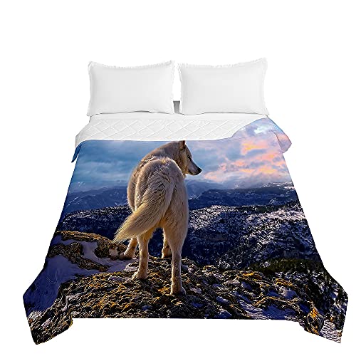 Chickwin Tagesdecke Bettüberwurf Steppdecke, 3D Wolf Tier Drucken Sommer Tagesdecken mit Präge Wohndecke aus Mikrofaser Gesteppt Bettdecke für Einzelbett Doppelbett (Himmel Wolf,230x280cm) von Chickwing