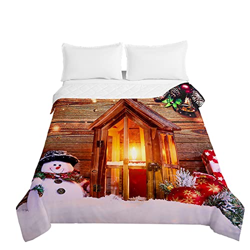 Chickwin Tagesdecke Weihnachten, 3D Drucken Bettüberwurf Tagesdecken Herbst Sommer Bettüberwürfe Prägemuster Wohndecke Mikrofaser Bettdecke für Einzelbett Doppelbett (Schneefeld,150x200cm) von Chickwing