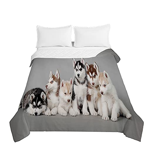 Chickwin Tagesdecken Bettüberwurf, 3D Hund Drucken Sommer Tagesdecke mit Prägemuster Wohndecke aus Mikrofaser Bettdecke für Einzelbett Doppelbett oder Kinder (Husky-Familie,230x280cm) von Chickwing