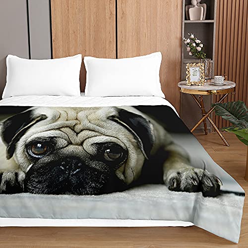 Chickwin Tagesdecken Bettüberwurf, 3D Hund Drucken Sommer Tagesdecke mit Prägemuster Wohndecke aus Mikrofaser Bettdecke für Einzelbett Doppelbett oder Kinder (Mops,220x240cm) von Chickwing