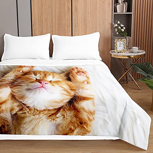 Chickwin Tagesdecken Bettüberwurf, 3D Katze Drucken Sommer Tagesdecke mit Prägemuster Wohndecke aus Mikrofaser Bettdecke für Einzelbett Doppelbett oder Kinder (Kätzchen dehnen,200x230cm) von Chickwing