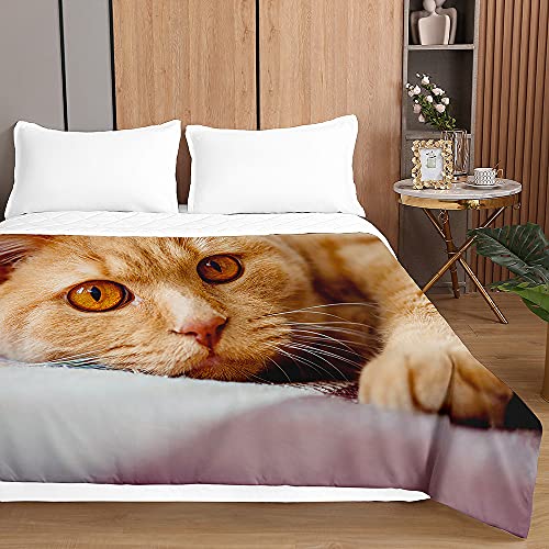 Chickwin Tagesdecken Bettüberwurf, 3D Katze Drucken Sommer Tagesdecke mit Prägemuster Wohndecke aus Mikrofaser Bettdecke für Einzelbett Doppelbett oder Kinder (Orangene Katze,150x200cm) von Chickwing