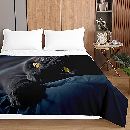 Chickwin Tagesdecken Bettüberwurf, 3D Katze Drucken Sommer Tagesdecke mit Prägemuster Wohndecke aus Mikrofaser Bettdecke für Einzelbett Doppelbett oder Kinder (Schwarze Katze,230x260cm) von Chickwing