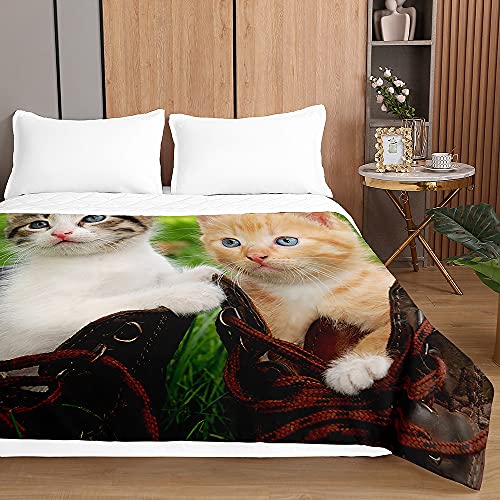 Chickwin Tagesdecken Bettüberwurf, 3D Katze Drucken Sommer Tagesdecke mit Prägemuster Wohndecke aus Mikrofaser Bettdecke für Einzelbett Doppelbett oder Kinder (Süße Kätzchen,100x150cm) von Chickwing