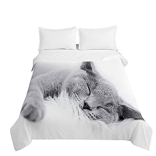 Chickwin Tagesdecken Bettüberwurf, 3D Süße Katze Drucken Sommer Tagesdecke mit Prägemuster Wohndecke aus Mikrofaser Bettdecke für Einzelbett Doppelbett oder Kinder (Graue Katze,100x150cm) von Chickwing