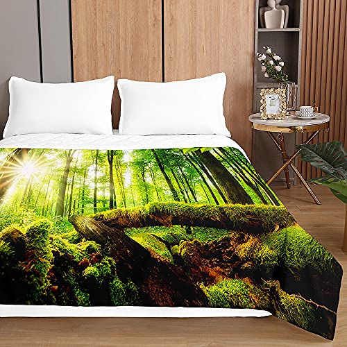 Chickwin Tagesdecken Bettüberwurf, 3D Wald Drucken Tagesdecke aus Mikrofaser - Prägemuster Wohndecke Bettdecke für Einzelbett Doppelbett oder Kinder (Sonniger Wald,150x200cm) von Chickwing