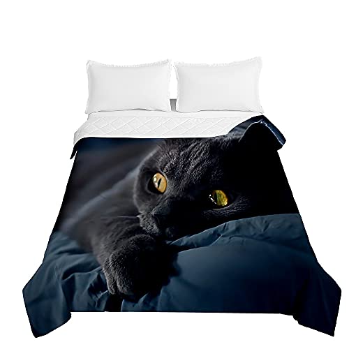 Chickwin Tagesdecken Bettüberwurf für Einzelbett Doppelbett, 3D Katze Drucken Tagesdecke mit Prägemuster Mikrofaser Gesteppt Bettdecke Wohndecke (Dunkelgrau,200x230cm) von Chickwing