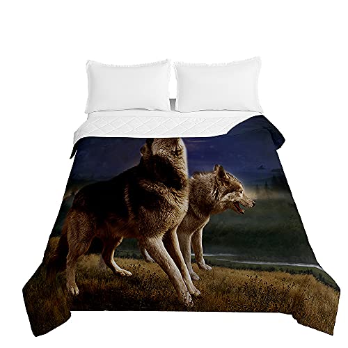 Chickwin Tagesdecke Bettüberwurf Steppdecke, 3D Wolf Tier Drucken Sommer Tagesdecken mit Präge Wohndecke aus Mikrofaser Gesteppt Bettdecke für Einzelbett Doppelbett (Prärie Wolf,220x240cm) von Chickwing