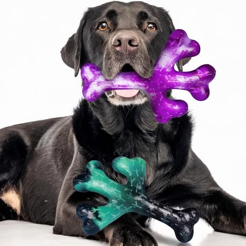 ChienBox Hunde Spielzeug für Große Hunde ChienBox Hunde Spielzeug für Große Hunde von ChienBox