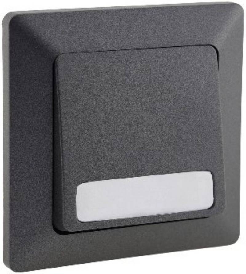 ChiliTec Lichtschalter Schalter & Schalterprogramm Edelstahl, anthrazit, L50mm von ChiliTec