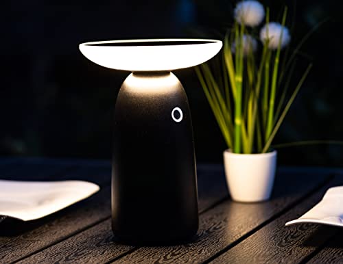 ChiliTec Solar Tischleuchte Solarlampe IP44 Tischlampe mit Akku Solarzelle 22,5cm I Dimmbar aufladbar USB C I Dämmerungssensor I Licht Warmweiß von ChiliTec