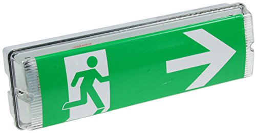 ChiliTec LED Fluchtwegleuchte Notleuchte Rettungszeichenleuchte Notbeleuchtung Deckenmontage IP65 Wasserfest Erkennung bis 25m nach EN-61547 Mit Richtungszeichen Piktogrammen von ChiliTec