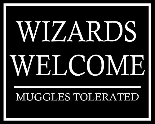 Wizards Welcome Muggles Tolerated Harry Potter Schild Metallschild 15,2 x 20,3 cm Vintage Retro Poster Kunstdruck Bild von Chill