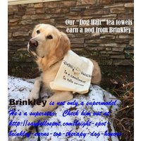 Besticktes Handtuch - Hundehaar Ist Ein Gewürz Geschirrtuch Golden Retriever Küchenhandtuch Viele Rassen Verfügbar von ChillyPawsRendachs