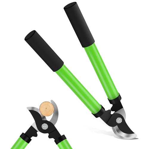 Chilymes Bypass Astschere für Garten,Gartenschere Leichte Astscheren Scharfe Klinge aus SK5 Hohe Qualität Gehärteter Präzisionsstahl Geeignet zum Schneiden frischen Holz bis 30mm Scharf und Langlebig Chilymes Bypass Astschere für Garten,Gartenschere Leichte Astscheren Scharfe Klinge aus SK5 Hohe Qualität Gehärteter Präzisionsstahl Geeignet zum Schneiden frischen Holz bis 30mm Scharf und Langlebig von Chilymes