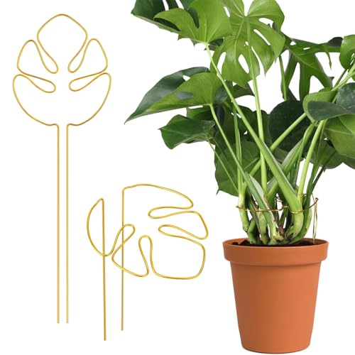 Chingcoo 2 Stück Pflanzenstütze, Pflanzenstielhalter, Pflanzenstütze Staudenhalter, Vieltaltige Stängelstütze für Monstera, Alocasia, Dekorative Unterstützung Chingcoo 2 Stück Pflanzenstütze, Pflanzenstielhalter, Pflanzenstütze Staudenhalter, Vieltaltige Stängelstütze für Monstera, Alocasia, Dekorative Unterstützung von Chingcoo