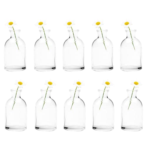 Chive Blumenvase Loft — Schöne Glasvasen für Blumen & Zimmerpflanzen — Süße Deko kleine Vase — Hohe Flasche 10er Set Chive Blumenvase Loft — Schöne Glasvasen für Blumen & Zimmerpflanzen — Süße Deko kleine Vase — Hohe Flasche 10er Set von Chive