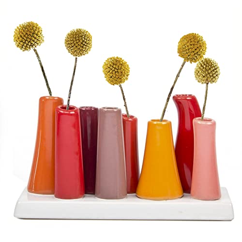 Chive - Pooley 2, einzigartige rechteckige Keramik-Blumenvase, kleine Knospenvase, dekorative Blumenvase für Heimdekoration, Tischaufsätze, Arrangieren von Blumensträußen, Set mit 8 Röhren verbunden (Kürbis) von Chive