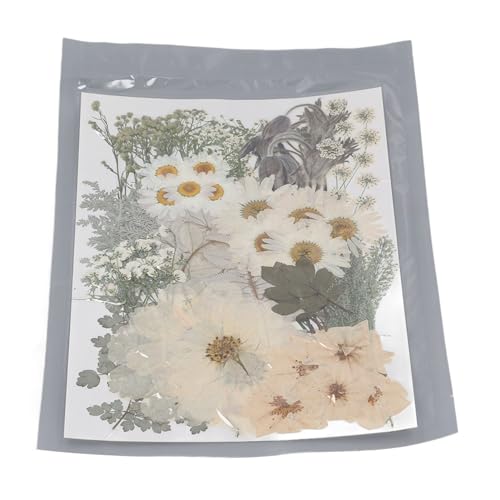 Chiyyak 100 Prozent Gepresste Blüten Getrocknete Blätter Bulk -Kit für Handwerksharz Schimmelpilzpraxis DIY Supplies von Chiyyak