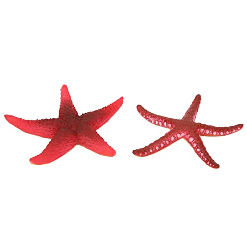 Chiyyak 2pcs Aquariumschmuck Simulierte Leuchtende Seestern Weiche und Flexible Fischtankdekoration Lebensechtiger Hitzebeständiger Aquariumdekoration Chiyyak 2pcs Aquariumschmuck Simulierte Leuchtende Seestern Weiche und Flexible Fischtankdekoration Lebensechtiger Hitzebeständiger Aquariumdekoration von Chiyyak