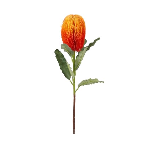 Chiyyak Künstliche Banksien Blumendekor Lebensee Seidenplastikstamm Einfach zu Formen für Häusliche Hotelhochzeitdekorationen mit Hellfarbener Hoher Simulation (Orange) von Chiyyak