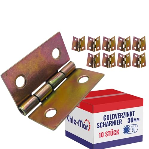 Chle-Mar - 10x Verzinktes Möbelscharnier 30 x 30 mm | Schwerlast Scharniere Klappbar (Klein) | Robustes Kistenscharnier für Truhen, Boxen & Schränke | Wetterfeste Türscharniere für Außen & Innen von Chle-Mar