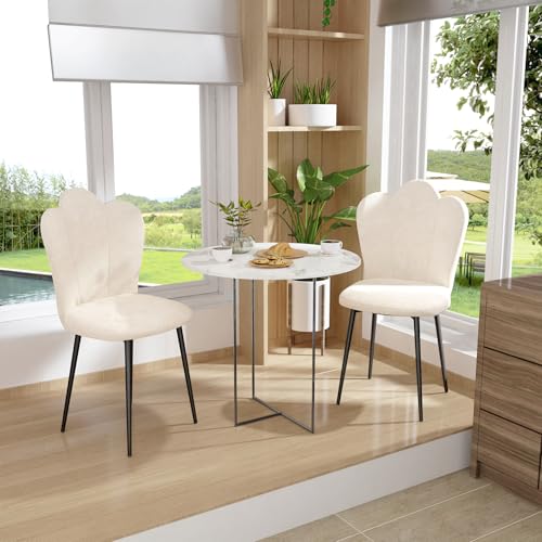 Chleby 2er Eleganten Esszimmerstühlen aus Samt Esszimmer Stuhl mit gepolstertem Sitz und Metallbeinen, Küchenstühle mit Blütenblatt-Rückenlehne für Esszimmer, Wohnzimmer, Schlafzimmer, Küche, Beige von Chleby