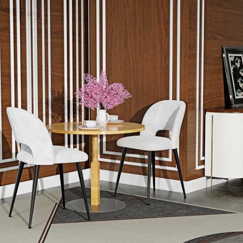 Chleby 2er Set Esszimmerstühle aus Samt weicher und bequemer Esszimmerstuhl Küchenstuhl mit Metallbeinen für Esszimmer/Wohnzimmer Weiß von Chleby
