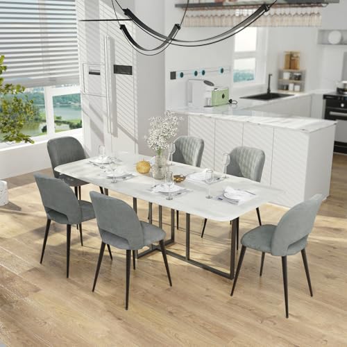 Chleby 6er Set Esszimmerstühle aus Samt Komfortabel Küchenstühle Gepolstert Weicher und Bequemer Esszimmerstuhl für Esszimmer/Wohnzimmer/Küche Grau von Chleby