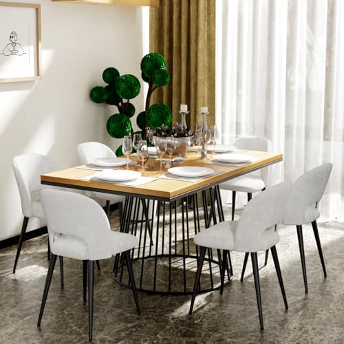Chleby 6er Set Esszimmerstühle aus Samt weicher und bequemer Esszimmerstuhl Küchenstuhl mit Metallbeinen für Esszimmer/Wohnzimmer Weiß von Chleby