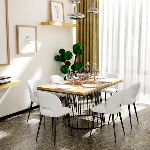 Chleby 6er Set Gestreifter Esszimmerstuhl aus Samt Weicher und Bequemer Esszimmerstuhl Küchenstühle für Esszimmer/Wohnzimmer Weiß von Chleby