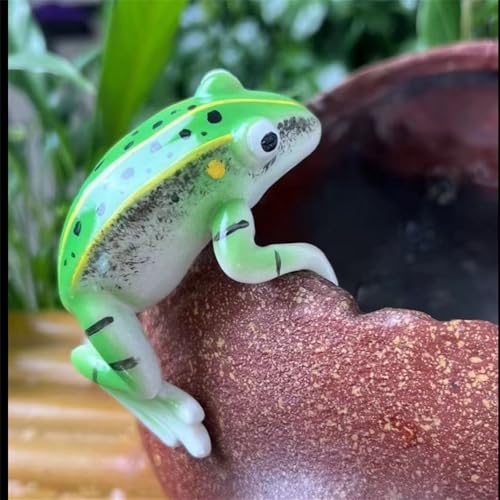 Deko Frosch Miniteich Für Draußen Garten Schwimmfrosch Brunnen Set Blumentopf Hänger Ornament Gartendeko Springbrunnen Teichdeko Schwimmdeko Mini Zubehör Gartenteich Dekorativer Dekoration (1) von ChongKuan