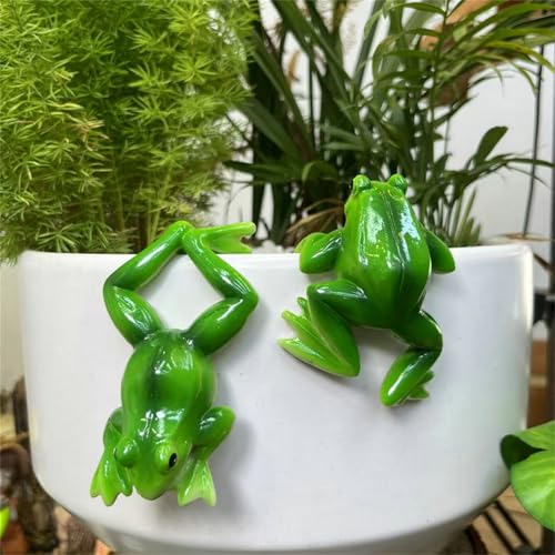 Miniteich Deko Für Draußen Frosch Garten Schwimmfrosch Brunnen Set Blumentopf Hänger Ornament Gartendeko Springbrunnen Teichdeko Schwimmdeko Mini Zubehör Gartenteich Dekorativer Dekoration (9) von ChongKuan