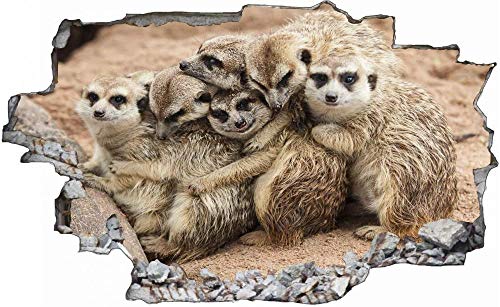 3D-Effekt Wandtattoo Aufkleber Durchbruch selbstklebendes Wandbild Wandsticker Stein Wanddurchbruch Wandaufkleber Tattoo,Erdmännchen Rudel Tier,Größe:60x90 cm von ChongYang