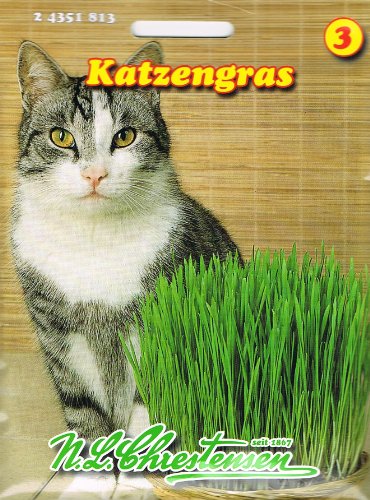 5 Stück Katzengras Sparpack Saatgutmischung 200g von Chrestensen