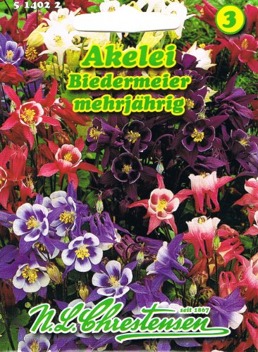 Akelei Biedermeier farbenprächtige Schmuck- und Schnittstaude 'Aquilegia caerulea' hybrida nana mehrjährig von Chrestensen