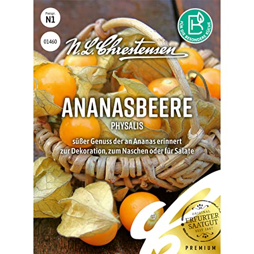 Ananasbeere Saatgut, Physalis Pflanzensamen zur Aussat von Chrestensen