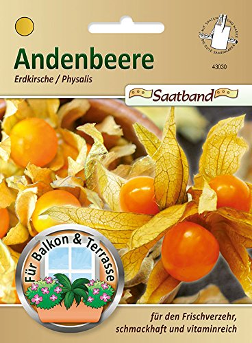 Andenbeere Erdkirsche Physalis Saatband für Balkon & Terrasse für den Frischverzehr schmackhaft vitamninreich 43030 von N.L. Chrestensen