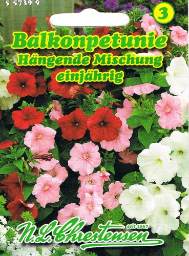 Balkonpetunie 'hängende Mischung' , einjährig, wichtigste Balkon-, Beet- und Gruppenpflanze, 'Petunia pendula' Petunie von Chrestensen