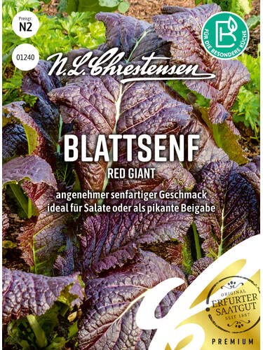 Blattsenf Red Giant von Chrestensen