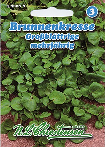 Brunnenkresse Großblättrige (Portion) von Chrestensen