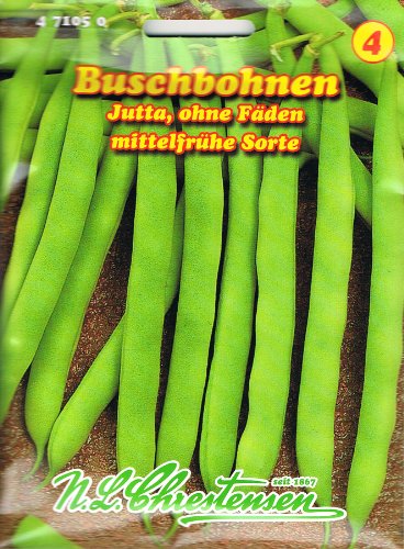 Buschbohne 'Jutta' grün,ohne Fäden, mittelfrühe Sorte von Chrestensen