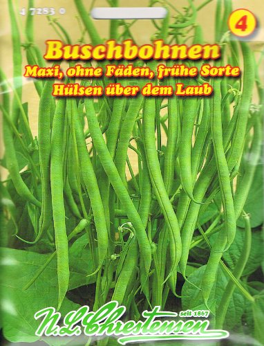 Buschbohne Maxi GS (Portion) von Chrestensen