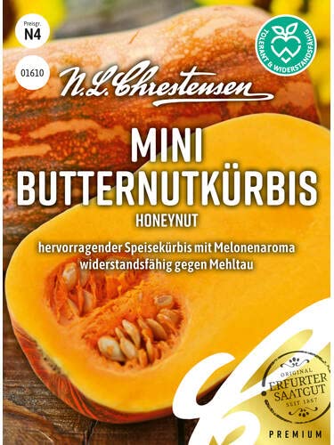 Butternutkürbis Honeynut Samen Packungsgröße N4, Portion Saatgut von Chrestensen