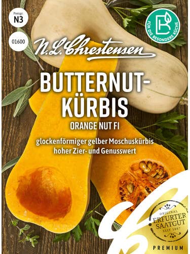 Butternutkürbis Orange Nut, F1, Packungsgröße N3, Portion Saatgut von Chrestensen